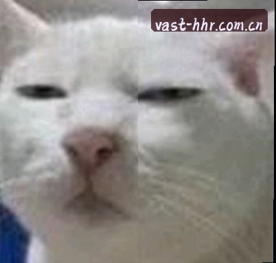 赵雪